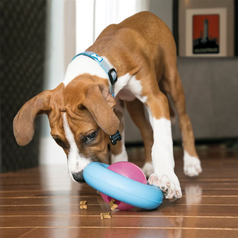 Gioco Interattivo Dispenser Gyro Puppy - KONG - immagine 2