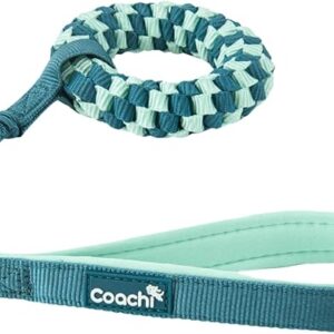 Gioco interattivo Puppy & Mini Tuggi Helix Teal & Mint - Coachi