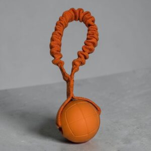 Gioco con pallina e maniglia elastica AMOR - Dog’s Craft
