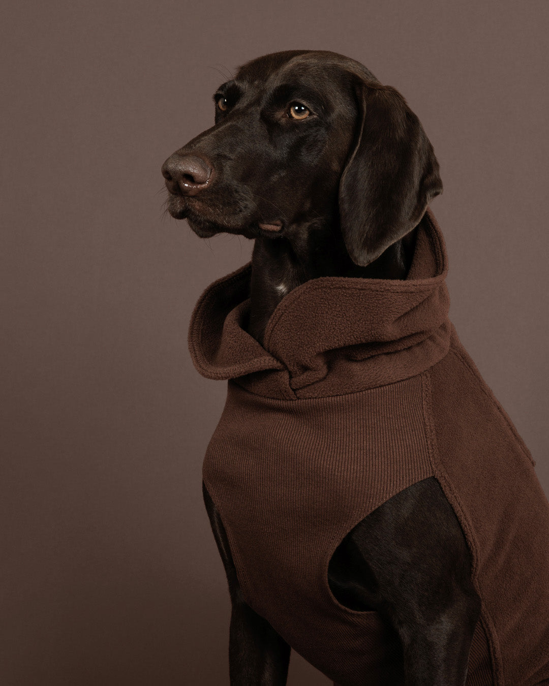 Pile termico Seawool Shirt Choco - PAIKKA - immagine 8