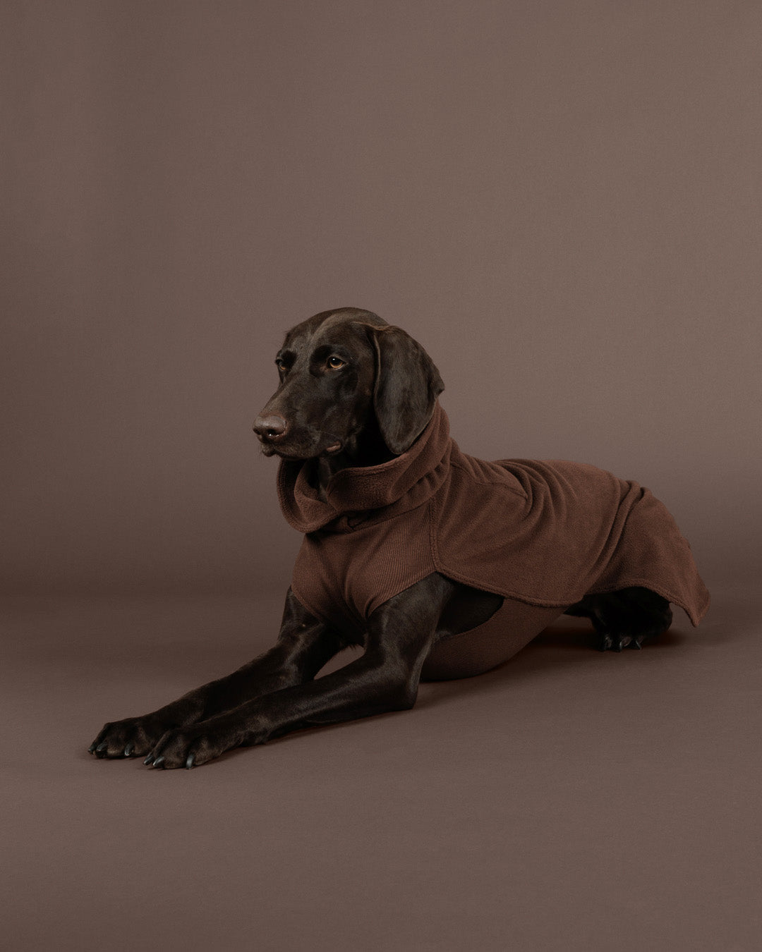 Pile termico Seawool Shirt Choco - PAIKKA - immagine 9