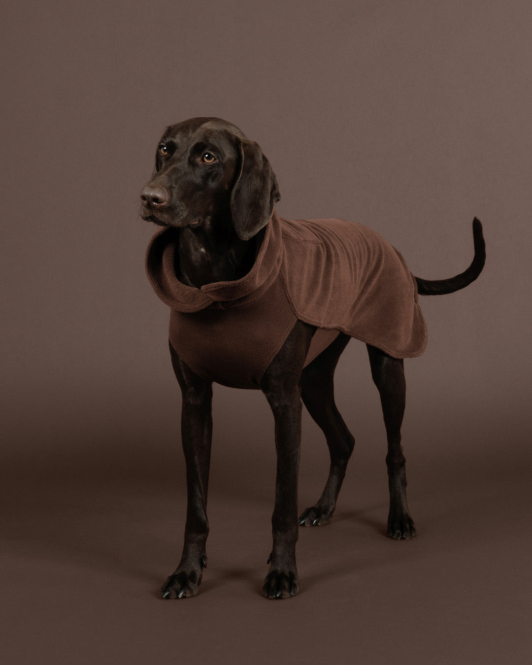 Pile termico Seawool Shirt Choco - PAIKKA - immagine 11