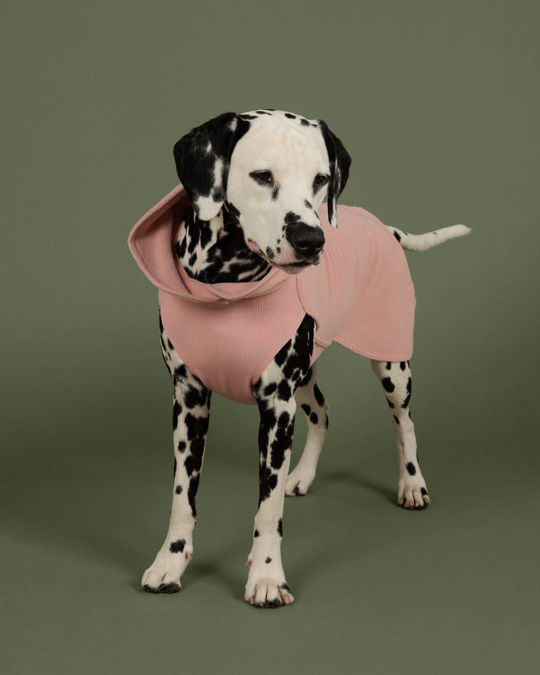 Pile termico Seawool Shirt Pale Pink - PAIKKA