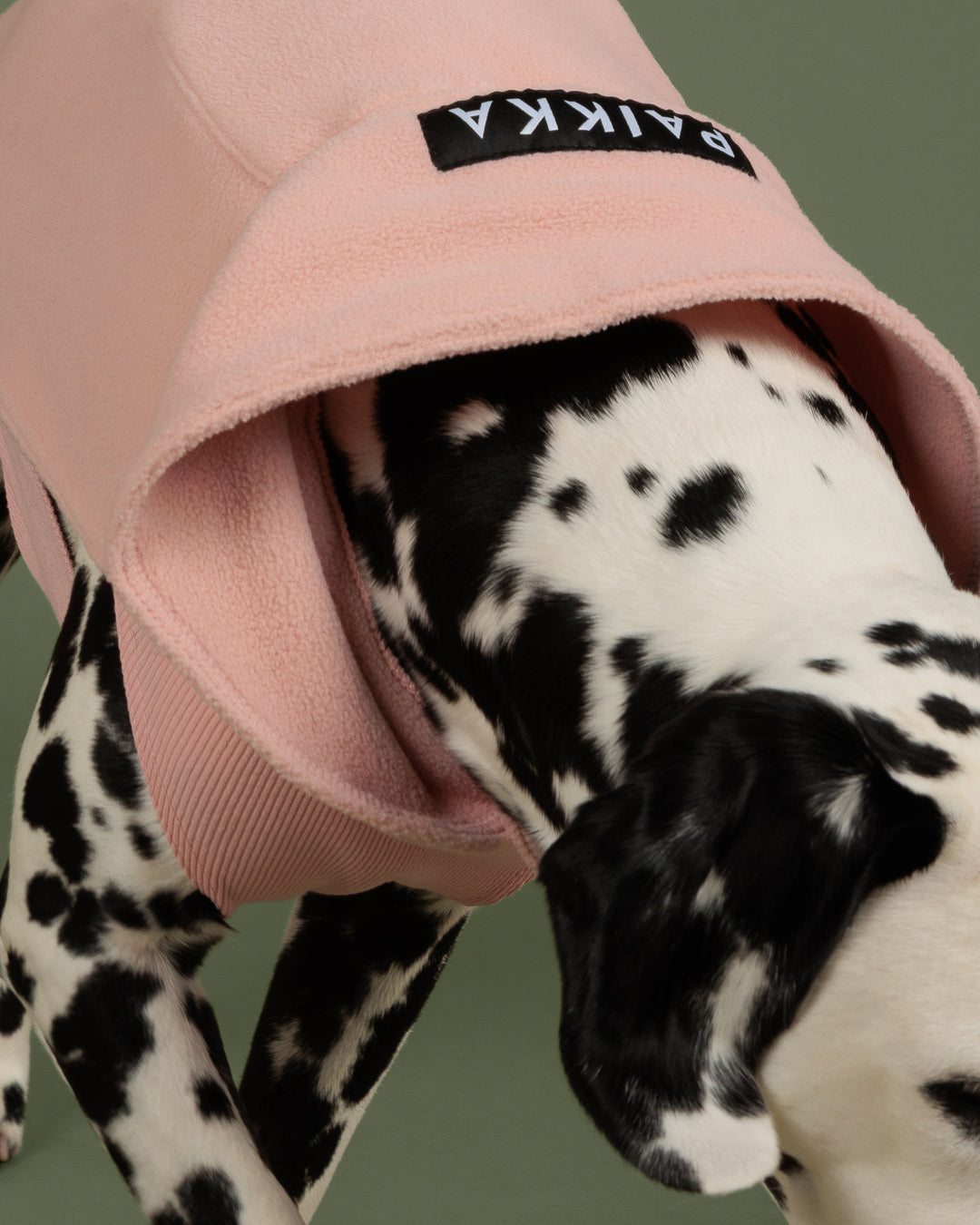 Pile termico Seawool Shirt Pale Pink - PAIKKA - immagine 9