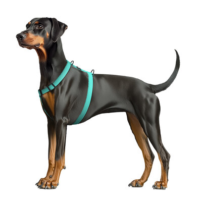 Pettorina ad H impermeabile Magnet Tiffany - WAUDOG - immagine 2