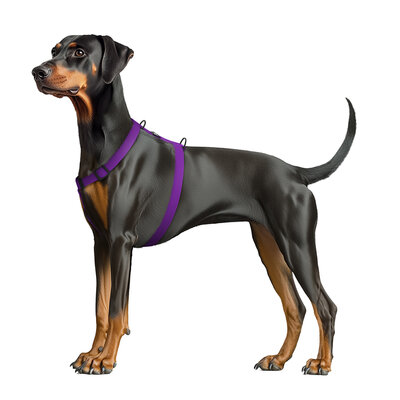 Pettorina ad H impermeabile Magnet Purple - WAUDOG - immagine 2