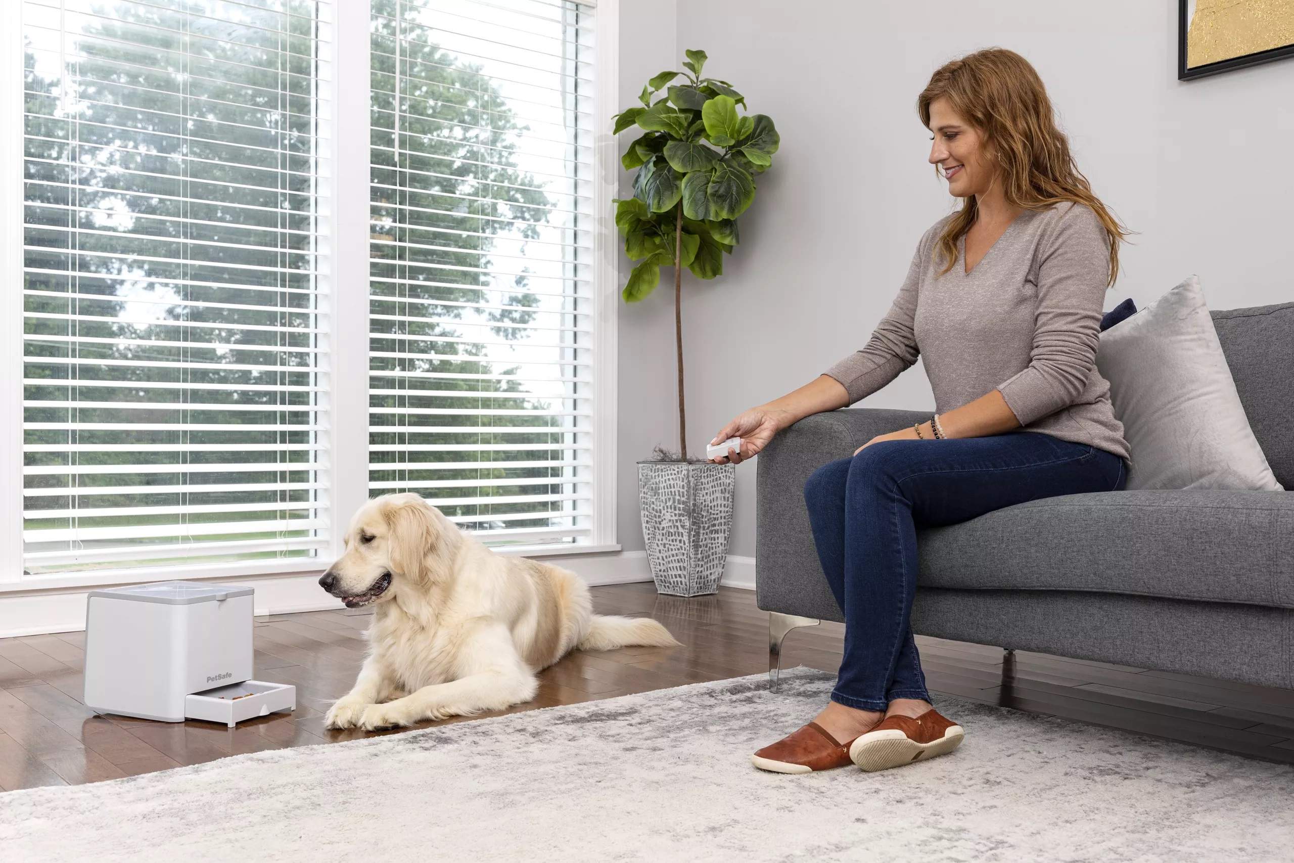 Distributore di Premi Telecomandato per Addestramento del Cane Teach & Treat – - PetSafe - immagine 4