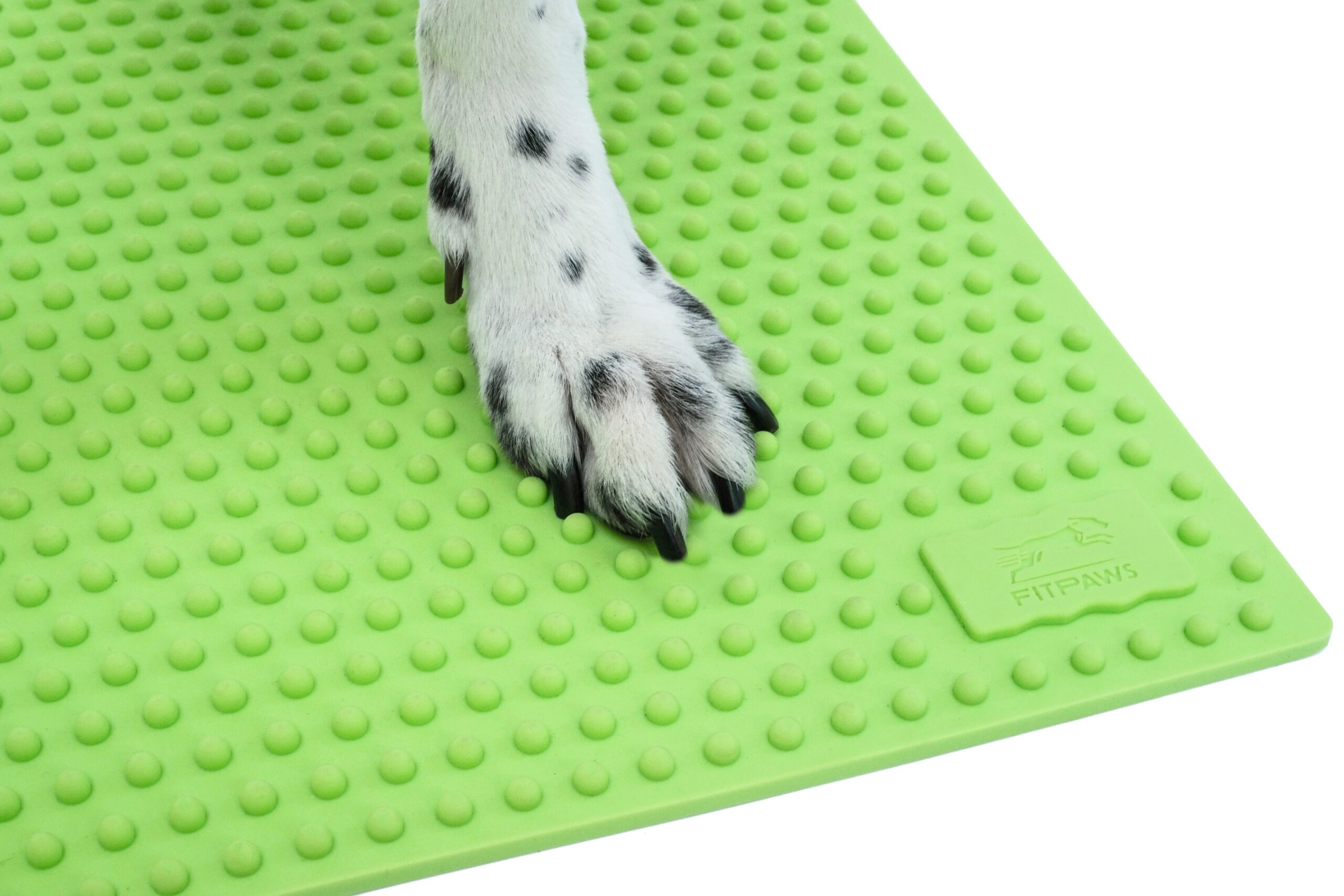 Set 2 Target Propriocettivi per Cani TRAX Targets - FitPAWS - immagine 3