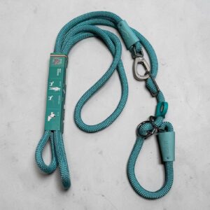 Guinzaglio Multifunzione Retriever Mani Libere AQUAMARINE - Morso