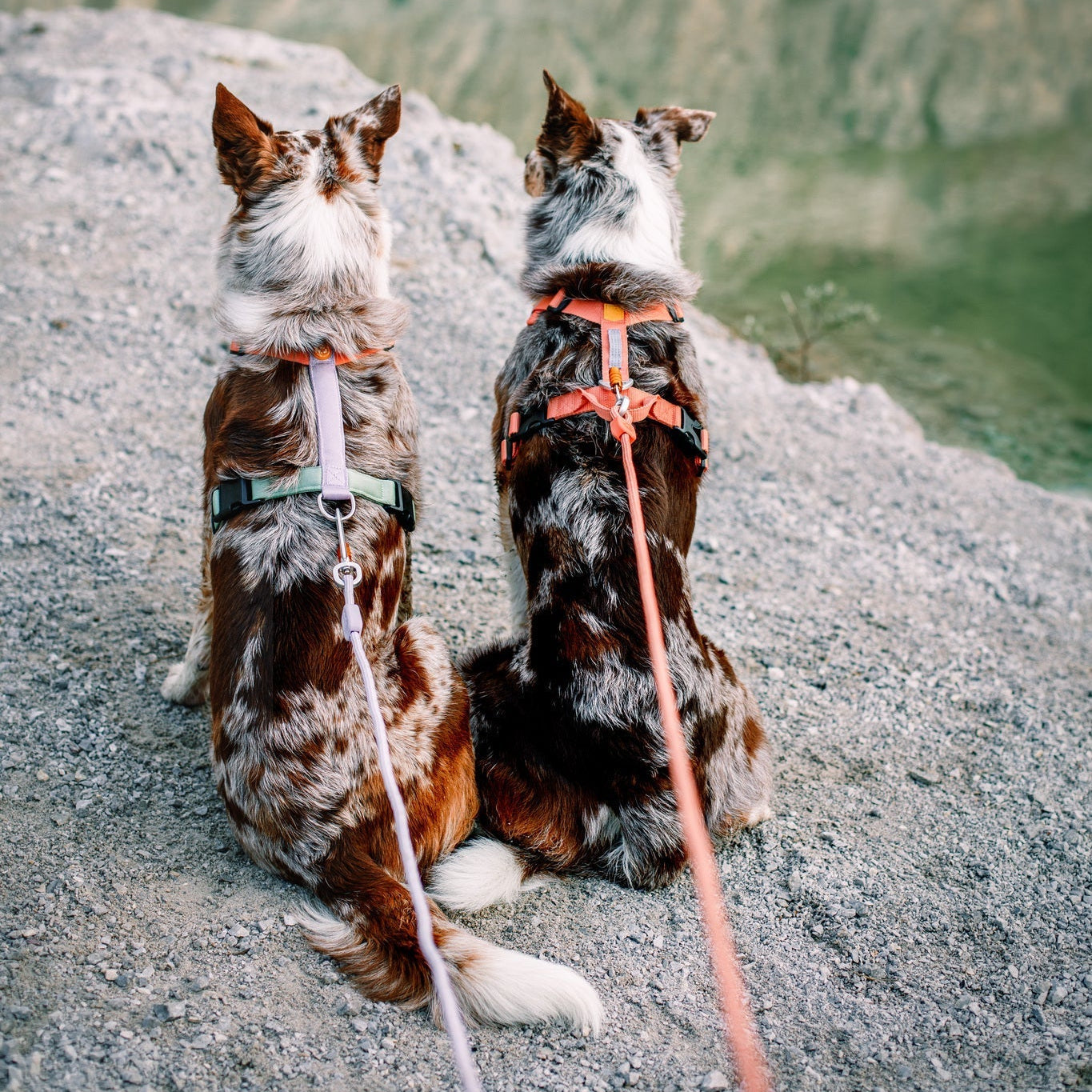 Pettorina Regolabile e Realizzata con Materiali Riciclati Color block mix rosa salmone - WOOLLY WOLF - immagine 4