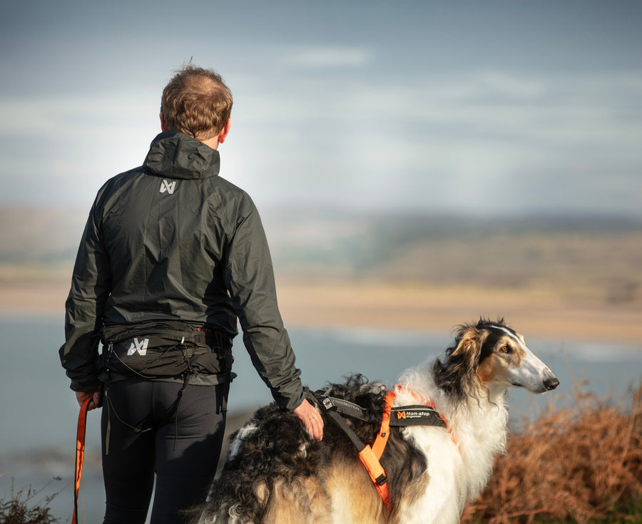 Cintura multifunzionale per passeggiate e trekking con il cane Trail Light Belt - Non-stop dogwear - immagine 7