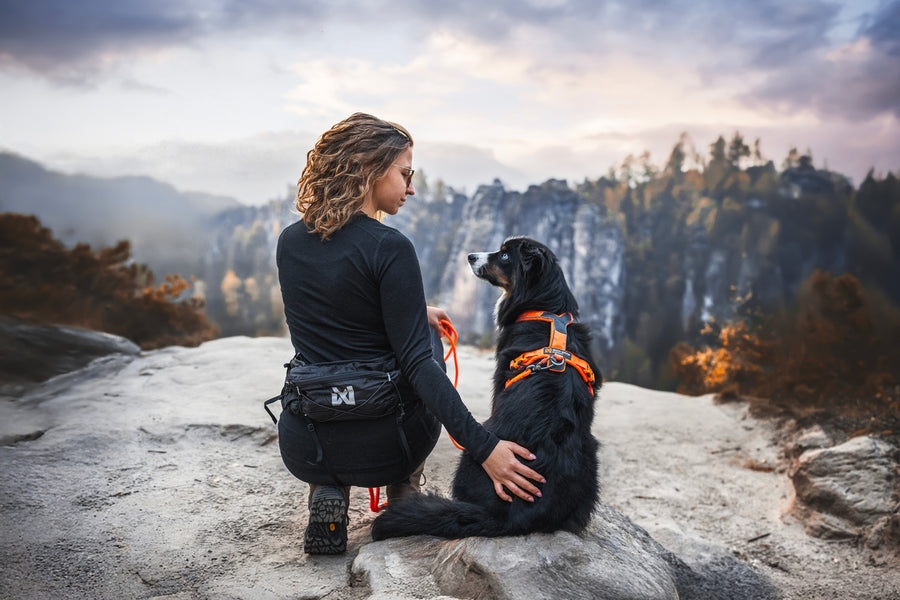 Cintura multifunzionale per passeggiate e trekking con il cane Trail Light Belt - Non-stop dogwear - immagine 2