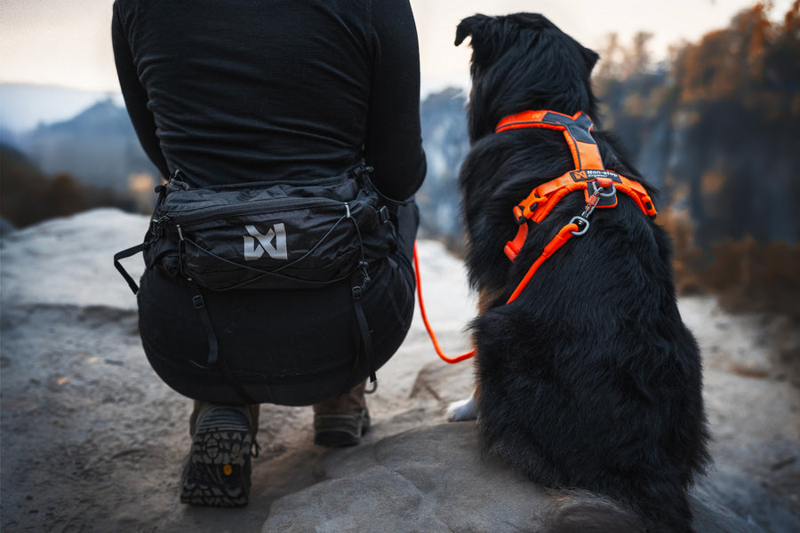 Cintura multifunzionale per passeggiate e trekking con il cane Trail Light Belt - Non-stop dogwear - immagine 3